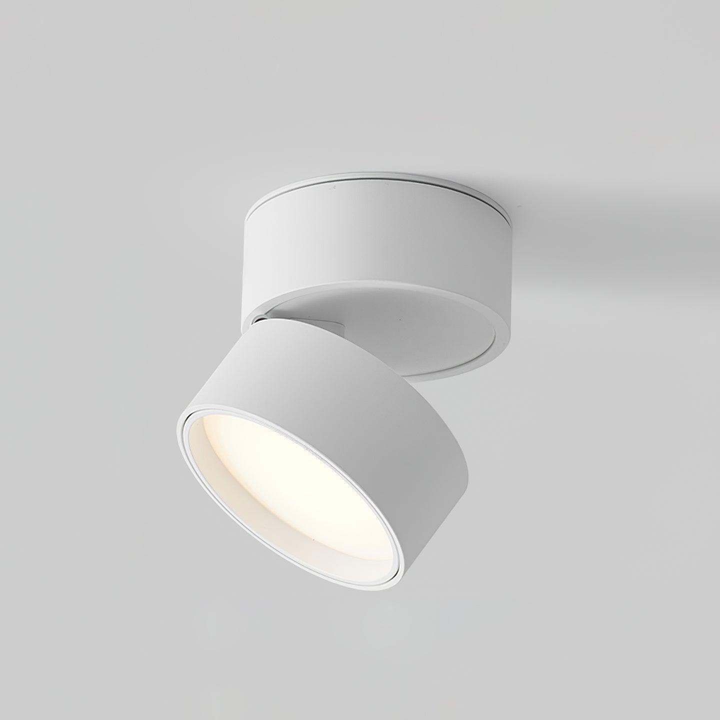Deckenstrahler LED Modern Drehbar | Wohnzimmer